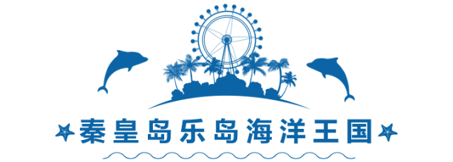 2019海豚音乐节和大海一起听 2019海豚音乐节和大海一起听