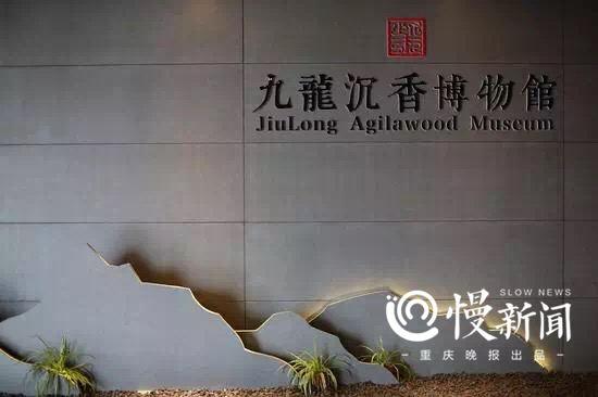 重庆九龙坡区手绘景点地图出炉,快来打望
