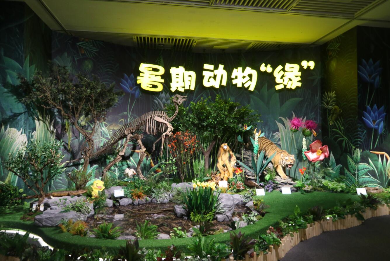 暑假动物“缘”来袭！！这个暑假来南京博物院看萌宠