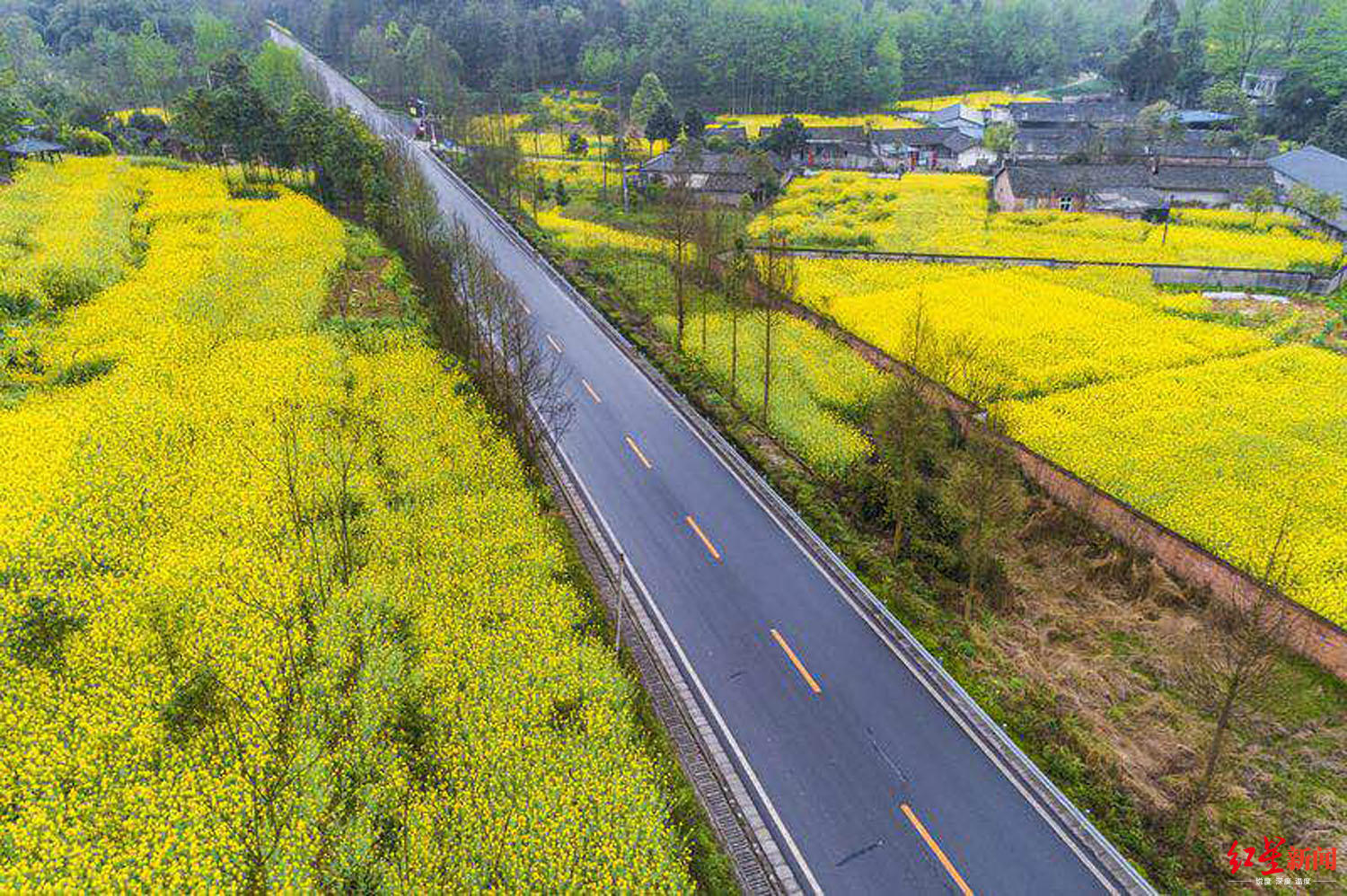 成都崇州道明镇,四好农村路.