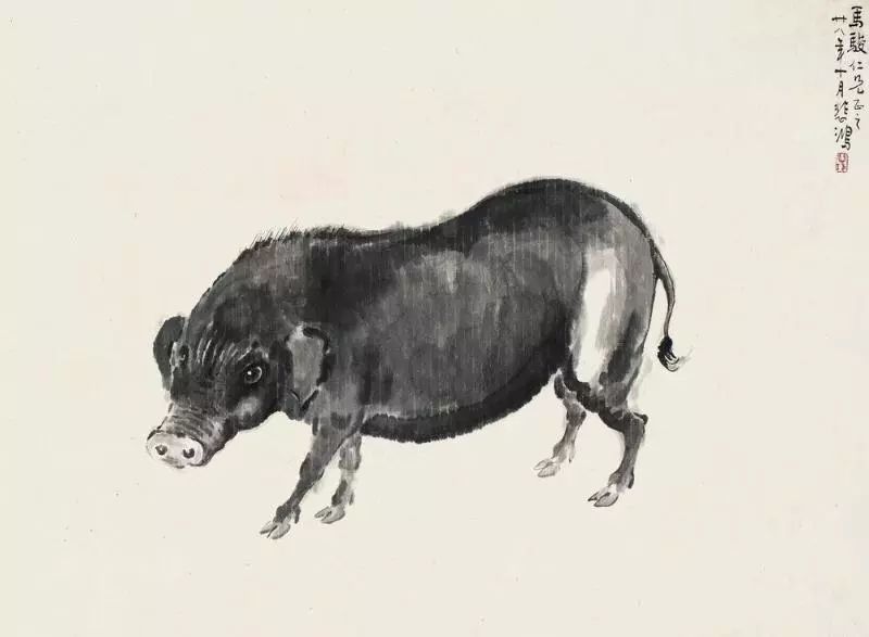 徐悲鸿 猪