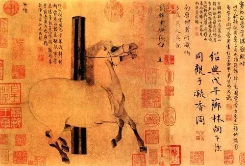 唐·韩幹 照夜白图