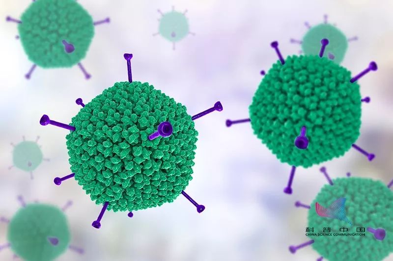 近期高发!高传染性病毒来袭,人人都可能中招