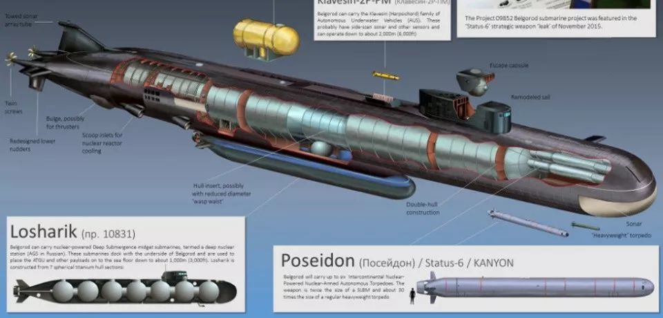 探秘"波塞冬"核鱼雷:射程一万公里 两天后才击中目标