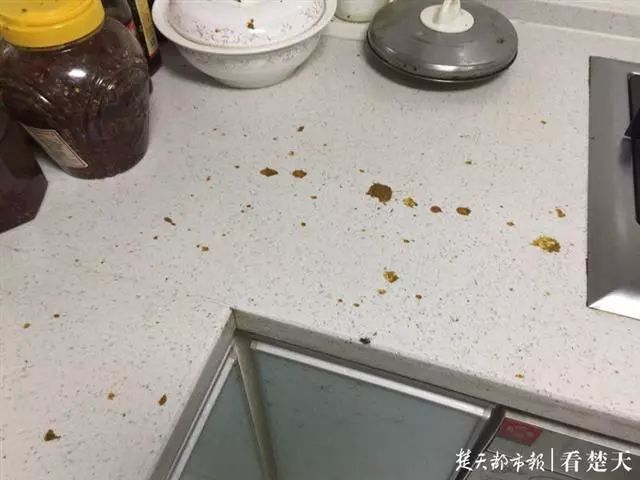 大便從天而降飛進廚房，他默默將糞便留了起來，驗DNA尋肇事者！ 健康 第5張