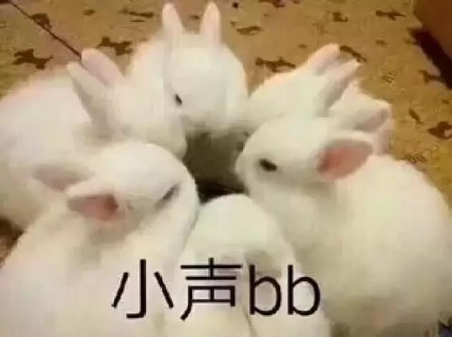 中东鹰嘴豆:一颗被誉为“黄金长寿豆”的豆中之王