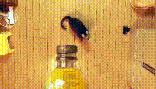 “瓶盖挑战”给营销人上了什么课？