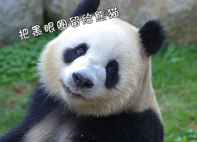 “痔疮膏中的爱马仕”偏爱化妆品，马应龙跨界卖口红，138元一支