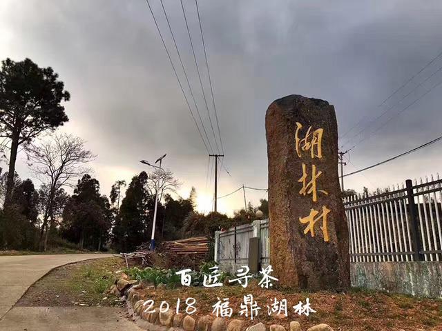 大山里的古老村落,磻溪湖林国营茶厂深藏的白茶记忆