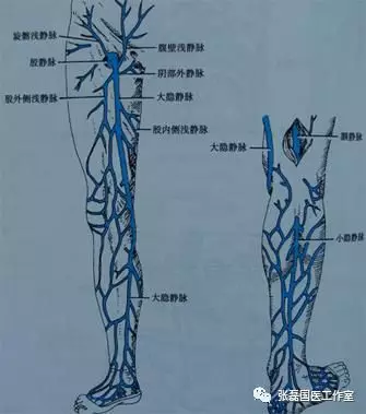 老烂腿是什么病?如何治疗?——岳阳医院张磊科普系列 澳门永利娱乐娱城