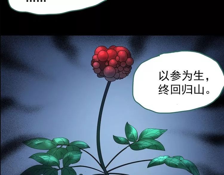怪奇实录之人参村