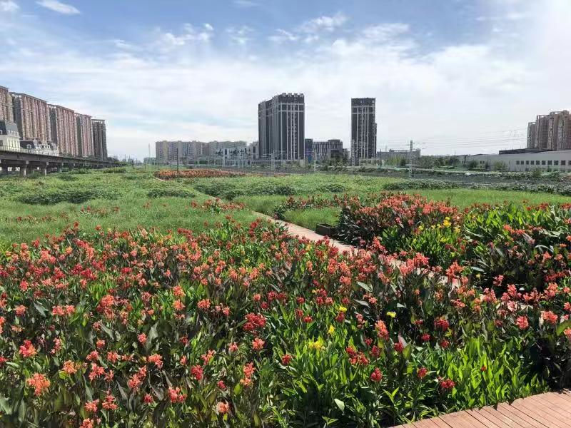 成都高新区推广“中水+湿地”模式 加快建设美丽宜居公园城市