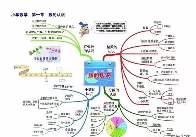 六年级思维导图