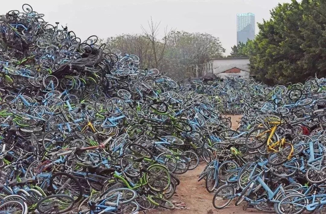 共享单车大败局 中国创业史上最疯狂试错