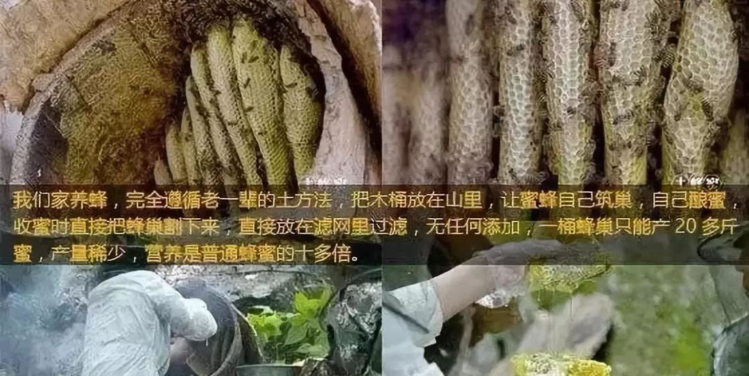 火遍朋友圈的杨霞是谁？