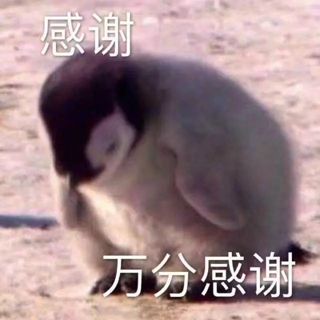 婚礼翻车现场哈哈哈哈哈哈