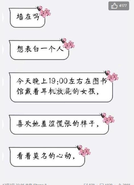 每日神段子当猫咪“喵”了一声，你会做的事