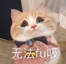 世纪迷思：为什么要时尚必须得是平胸？