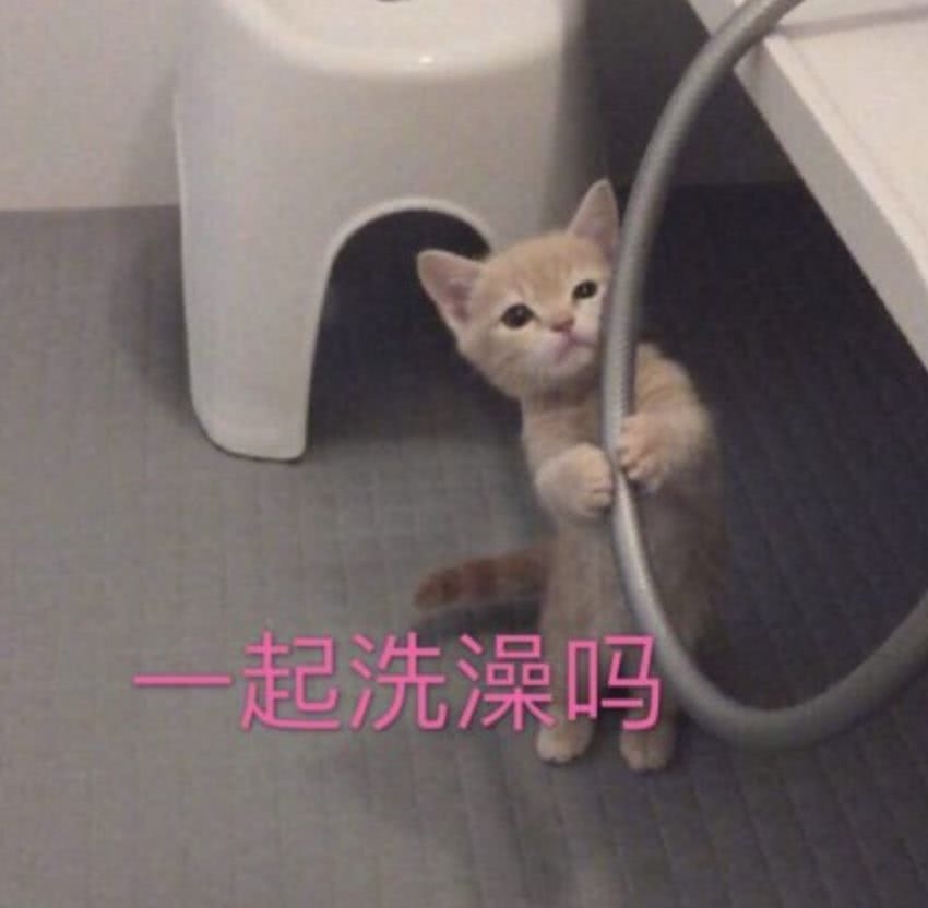 董洁这脸是返厂了吗？