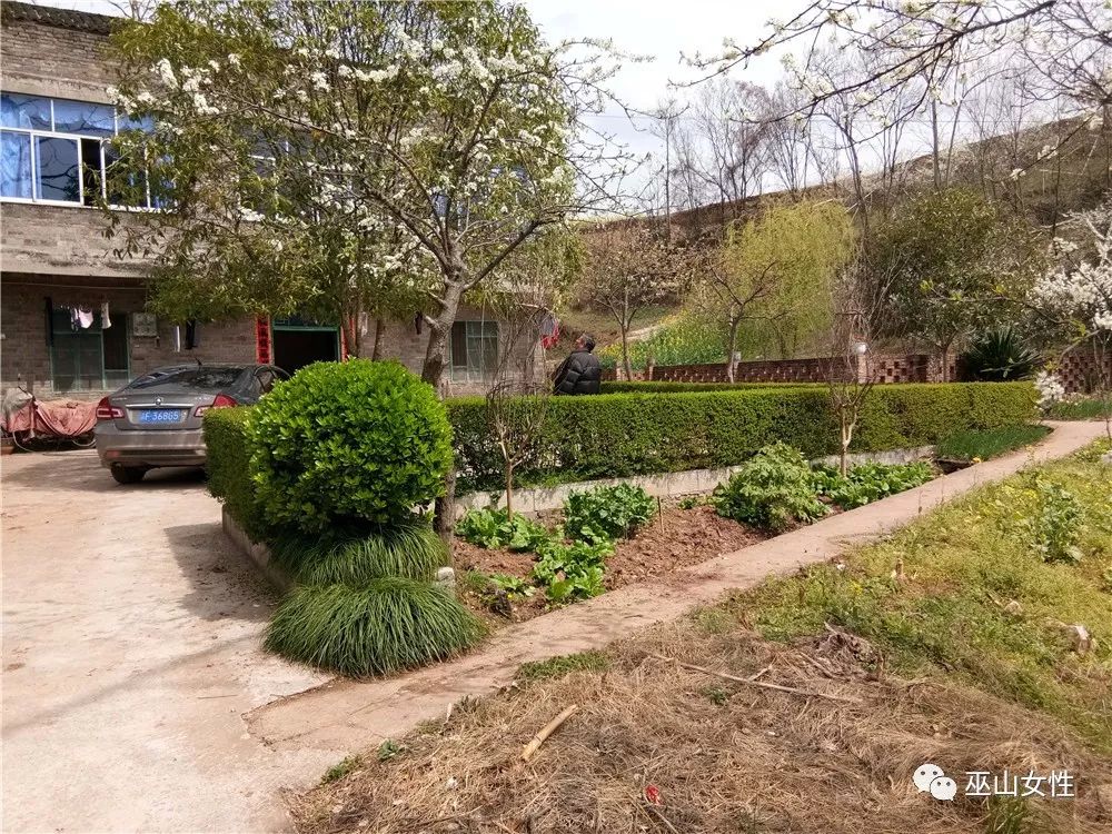 【美呆】 我县4个家庭荣获重庆最美阳台最美