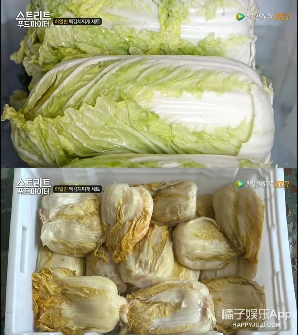 看完这部综艺向东北菜道歉