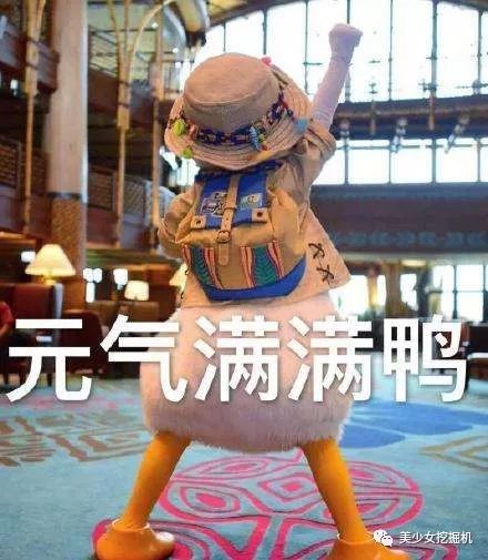 李宣美南韩腿精人设崩了！赢了五亿天价美腿，却输给赵薇？