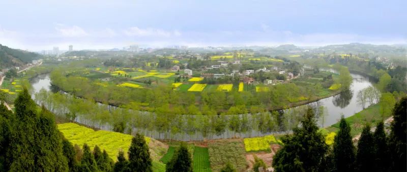 哎呀，说得我都想回简阳去吃了