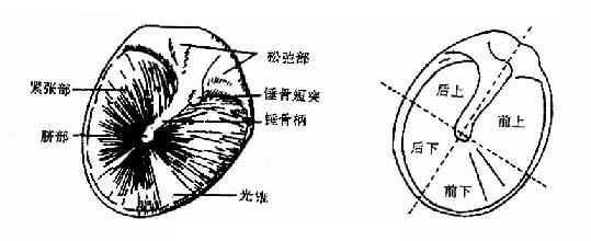 鼓膜内陷怎么办