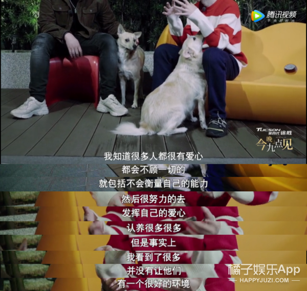 被他和流浪猫狗的故事感动了...