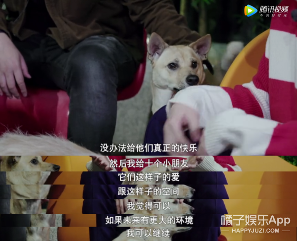 被他和流浪猫狗的故事感动了...