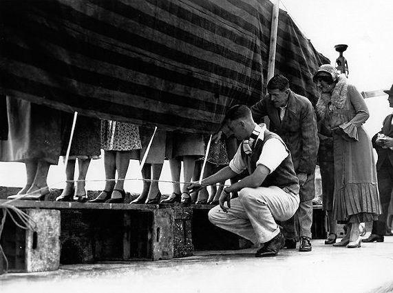 她的脸才是真·上辈子拯救了银河系！可我最羡慕的却是这个部位···