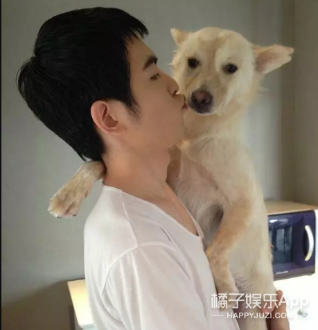 被他和流浪猫狗的故事感动了...