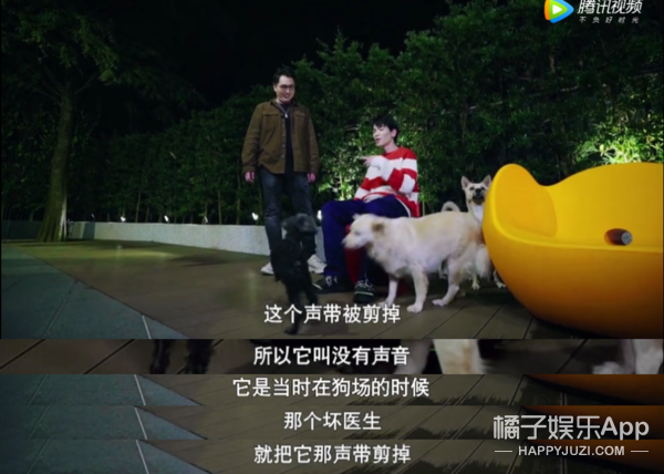 被他和流浪猫狗的故事感动了...