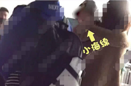 小海绵也太可爱了吧！探班baby竟然抢了所有风头