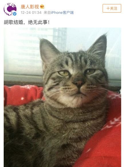 这么多石锤胡歌还否认结婚?不过这张脸真是众前任女友中的清流!