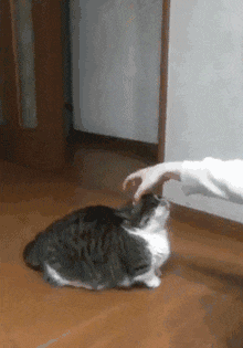 搞笑gif:小样敢和我斗,我还没动手你就倒了!