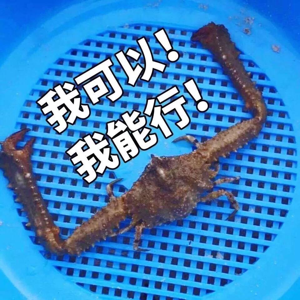 那些信过Refa、蒸脸仪邪的人,来看看你们交了多少智商税!