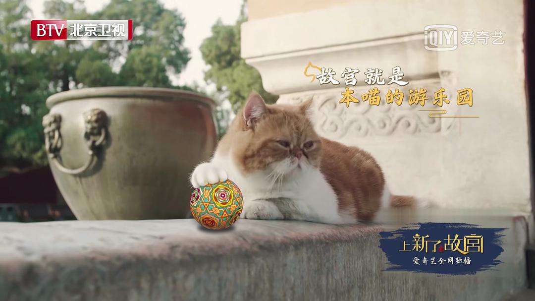 晴格格扮演者王艳真的住在宫里？豪宅价值过亿跟故宫做邻！