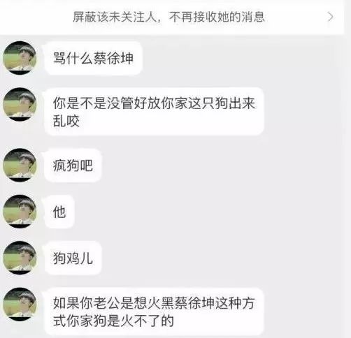 我採訪了蔡徐坤、吳亦凡、楊超越的粉絲，並聊了聊他們的idol 娛樂 第12張