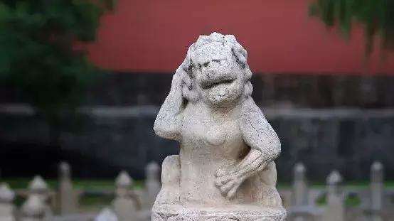 为什么中国不产狮子,却用石狮子守门?这就是答案