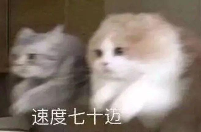 现在的车都能上天了？