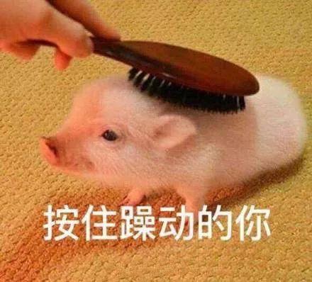35岁的台湾甜妹和泰国全民女神同框居然把对方碾压得渣都不剩！