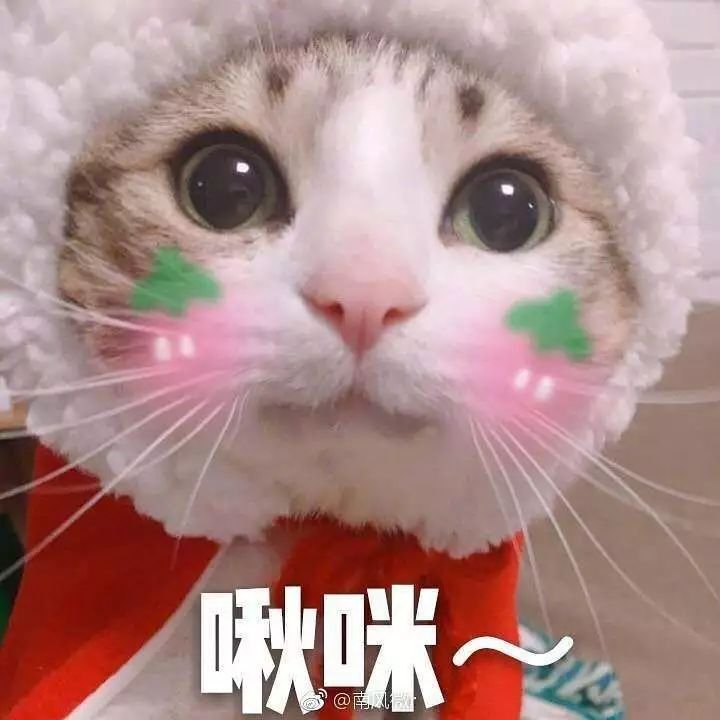 ͦлȺͷ˿ֻЬˡ