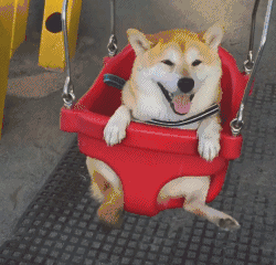 ͦлȺͷ˿ֻЬˡ