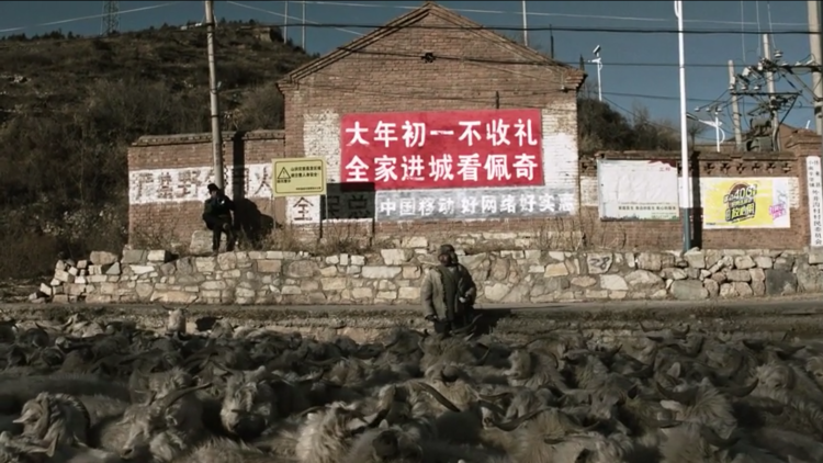 啥是佩奇到底是个啥啊