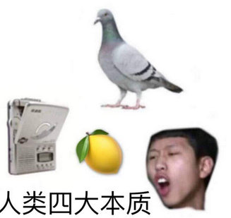 每日神段子丨为什么当代人热衷饮奶茶？