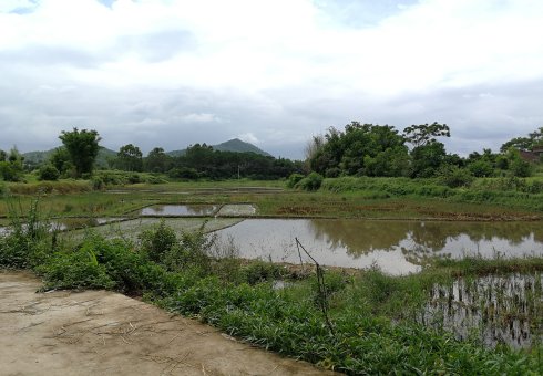 罗定市上宁村格木桥村梁氏始祖及发源地