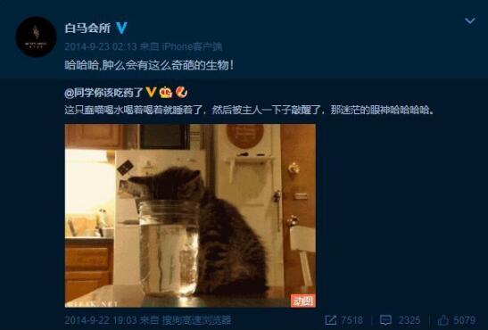 白马会所收礼男模被富婆老公发现打断腿!