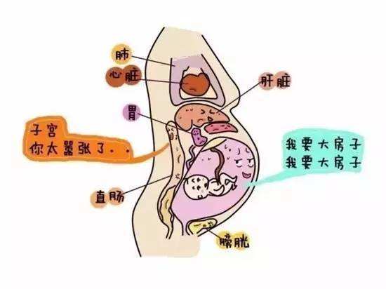 孕妇缺氧身体会泄露哪些重要信号拖越久胎儿缺氧越危险