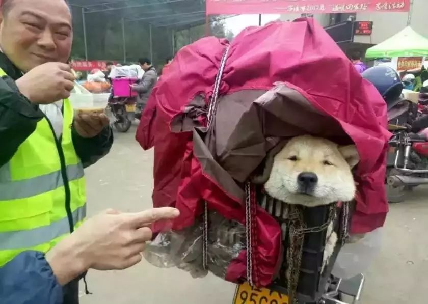 今年回家，我不再是一个人了！